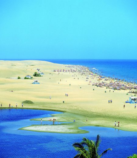 charca-y-playa-de-maspalomas-copia